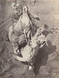Stilleven met wildvogels