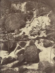 [Bomen en watervallen], 1860-65