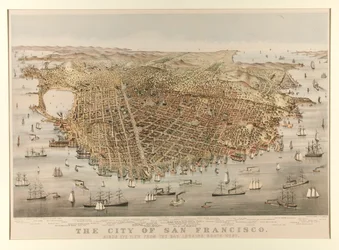 De stad San Francisco - Vogel