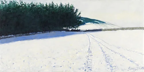 Donkere bomen en sneeuw, 2011 (olieverf op doek)