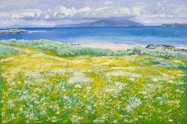 Machair, North End Iona, 2015 (olieverf op doek)