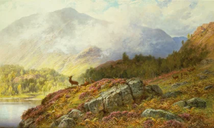 Herten in een Hooglandlandschap