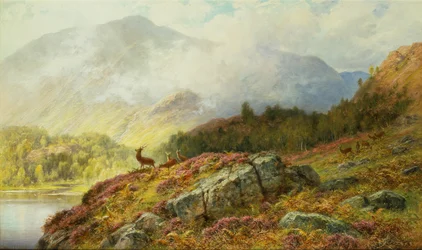 Herten in een Hooglandlandschap