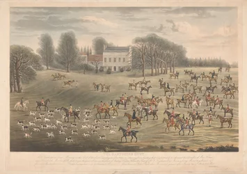 De Hampshire Hunt