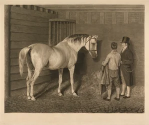 De Wellesley-Arabier