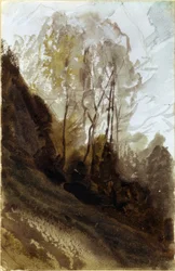 Bomen