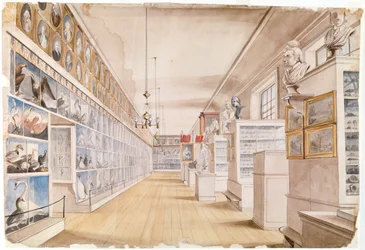 De Lange Kamer, Interieur van de Voorkamer in Peales Museum, 1822