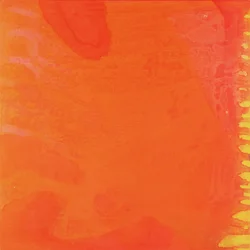 Oranje konijn