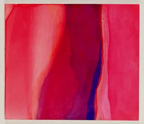 Sari Vis, 2000