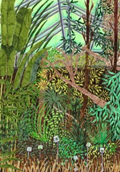 Botanische Tuin, 2017