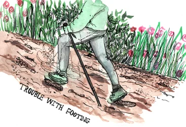 Parkinson Illustraties, 2019