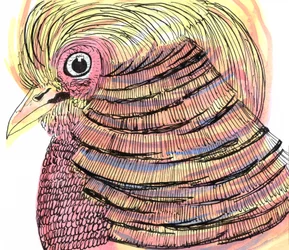 Tropische vogel, 2018