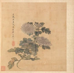 Schilderijen naar oude meesters: Chrysant, 1598-1652