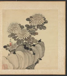 Schilderijen naar Oude Meesters: Chrysant en Rots