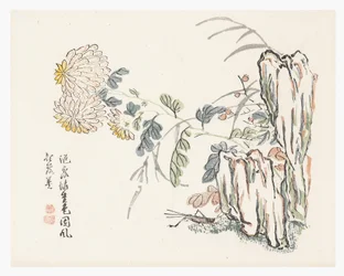 Chrysant, Mustard Seed Garden Manual