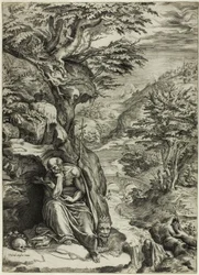 Sint Hiëronymus in de Woestijn