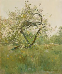 Perzikbloesems, Villiers-le-Bel