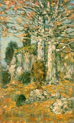 Boomlandschap