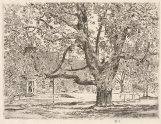 De grote paardenkastanjeboom, Easthampton