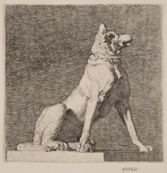 Een zittende hond naar een antiek beeld op Charlottenborg