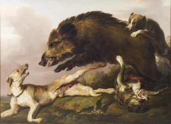 Wilde zwijnenjacht
