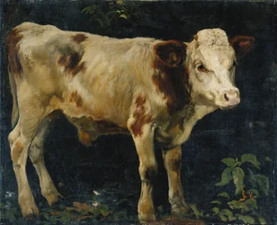 Een Stierkalf, 1876