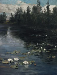 Waterlelies