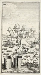 Tuinman aan het oogsten, gepubliceerd in Erfurt in Thüringen
