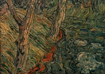 Bomen aan de rivier