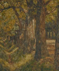 Belvedere laan in de hoogzomer