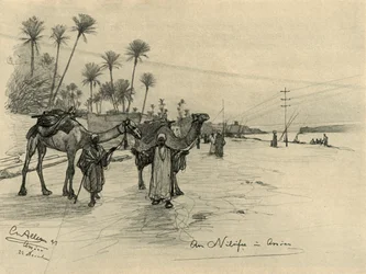 Kameeldrijvers aan de oevers van de Nijl bij Aswan, Egypte