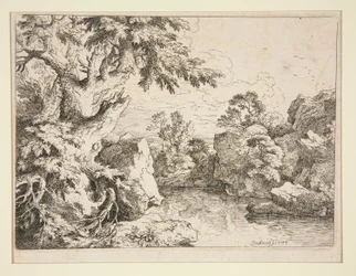 Landschap met vijver omzoomd door rotsen en bomen