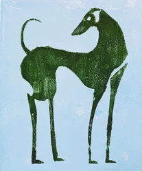 Elegante woestijnhond