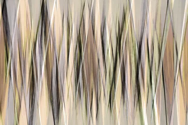 Abstracte aardse lijnen