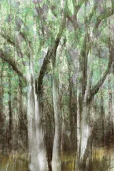 Samenvatting: Rust in het bos