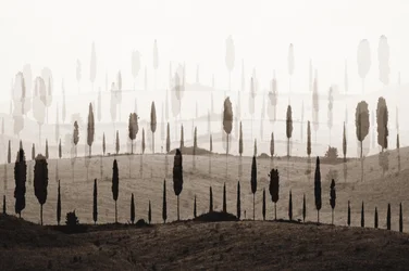 De betoverende Cypress Hills