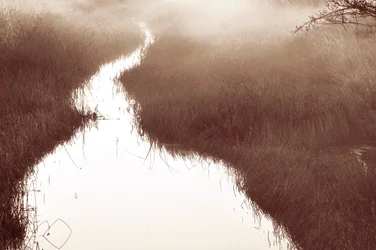 Misty River-pad