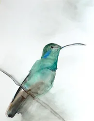 Aquarel: een blauwgroene kolibrie