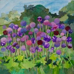 Alliums groot, 2024 (aquarel geschilderd papier collage)