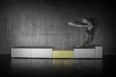 Conceptuele dansvorm
