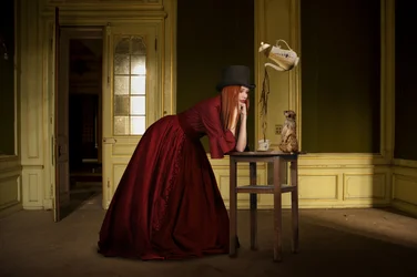 Elegant Woman Meerkat-thee
