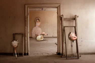 Flamingo Ballet Dream