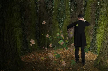 De reis van de man door het bos