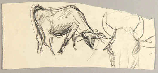 Ossen