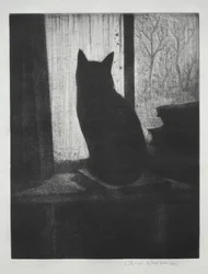 De kat
