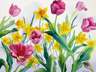Narcissen en tulpen