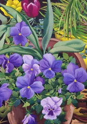 Bloempotten met viooltjes