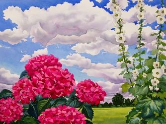 Bloemen aan de rand van een weide
