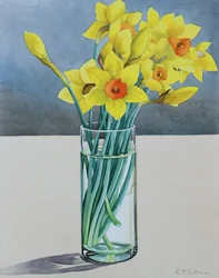 Supermarkt Narcissen, 2022