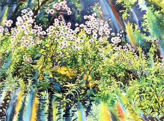 Distelpluis, 2016